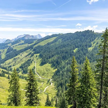 Alpensteinbock D Lägenhet Saalbach-Hinterglemm