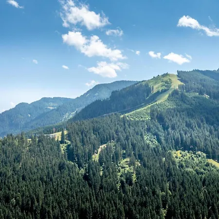 Lägenhet Alpensteinbock D Saalbach-Hinterglemm